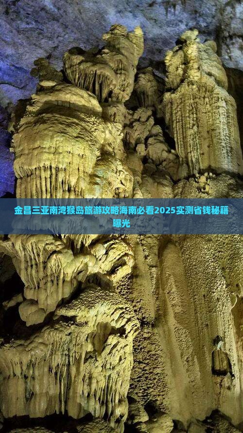 金昌去三亚南湾猴岛自由团