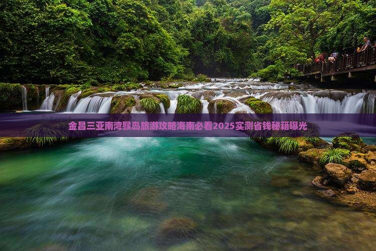 金昌去三亚南湾猴岛自由团