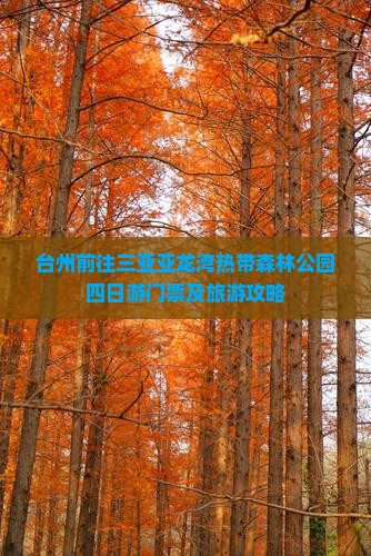 台州前往三亚亚龙湾热带森林公园四日游