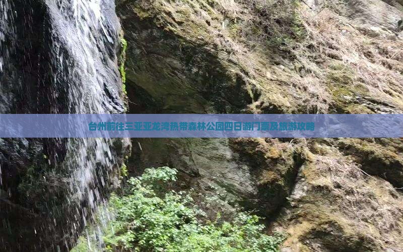 台州前往三亚亚龙湾热带森林公园四日游