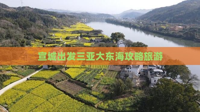 宣城去三亚大东海一日游