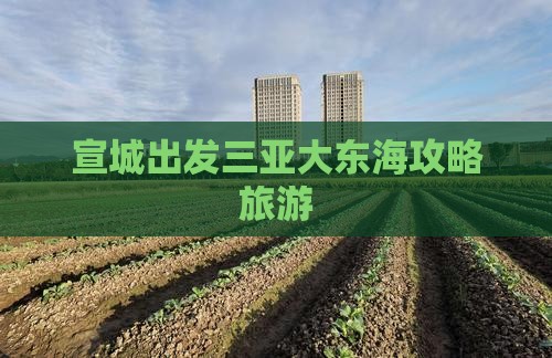 宣城去三亚大东海一日游