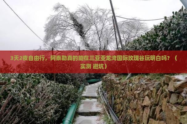 阿泰勒去三亚亚龙湾国际玫瑰谷自由行