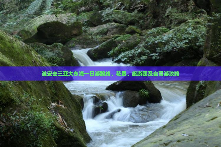 淮安去三亚大东海一日游 淮安去三亚大东海一日游