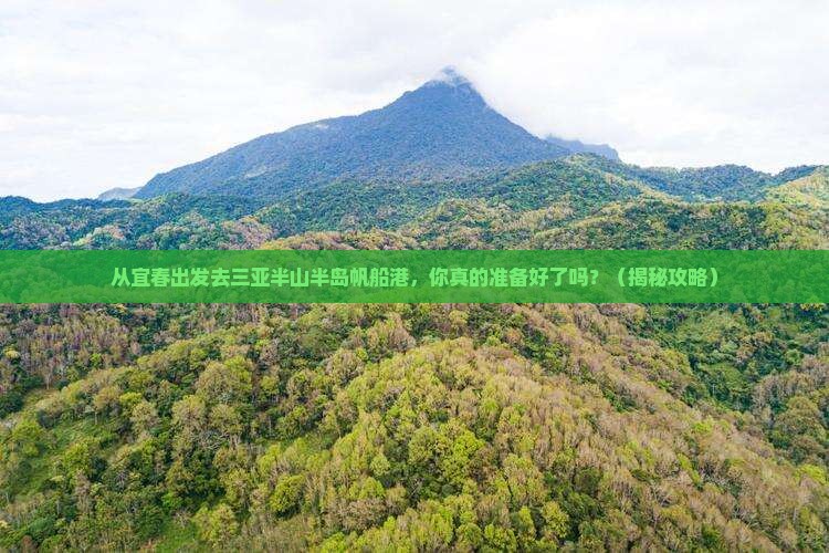 宜春出发三亚半山半岛帆船港自由行