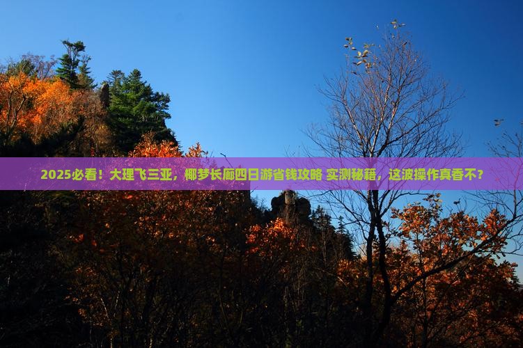 大理去三亚椰梦长廊四日游