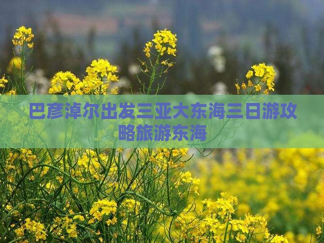 巴彦淖尔出发三亚大东海三日游