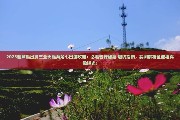 葫芦岛出发三亚天涯海角七日游