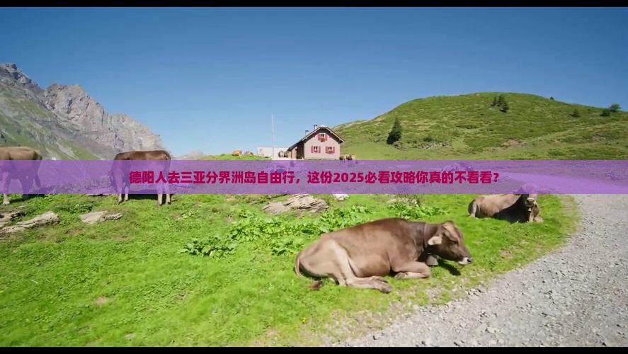 德阳去三亚分界洲岛自由行