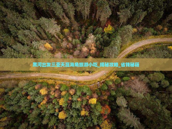 黑河出发三亚天涯海角旅游小吃