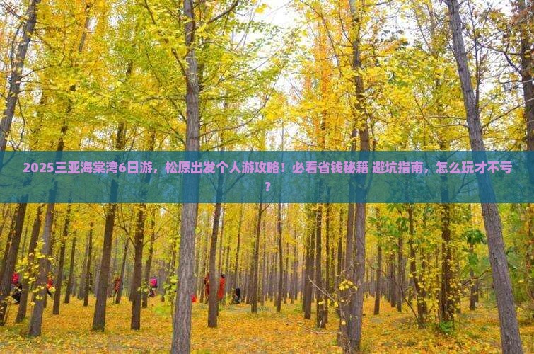 松原出发三亚海棠湾个人游