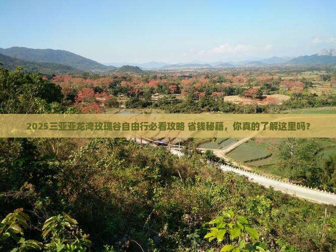 楚雄前往三亚亚龙湾国际玫瑰谷自由团