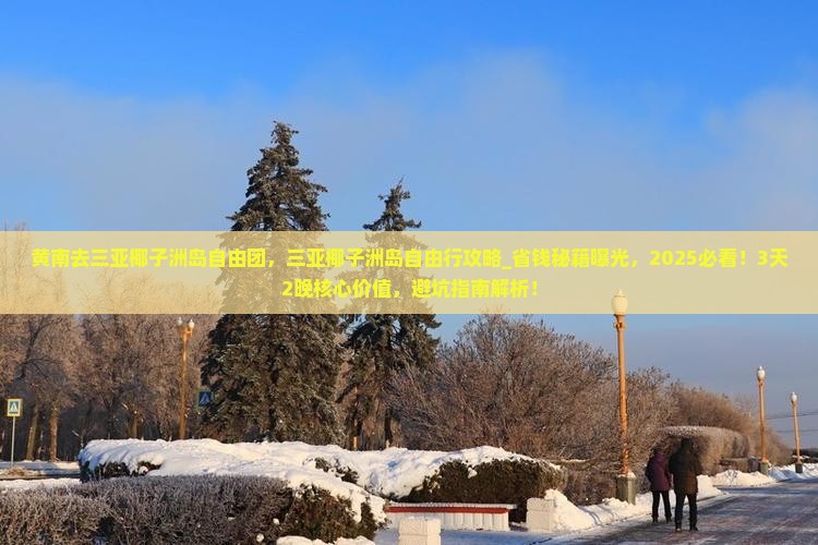 黄南去三亚椰子洲岛自由团