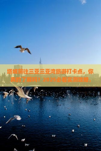 塔城前往三亚三亚湾旅游打卡点