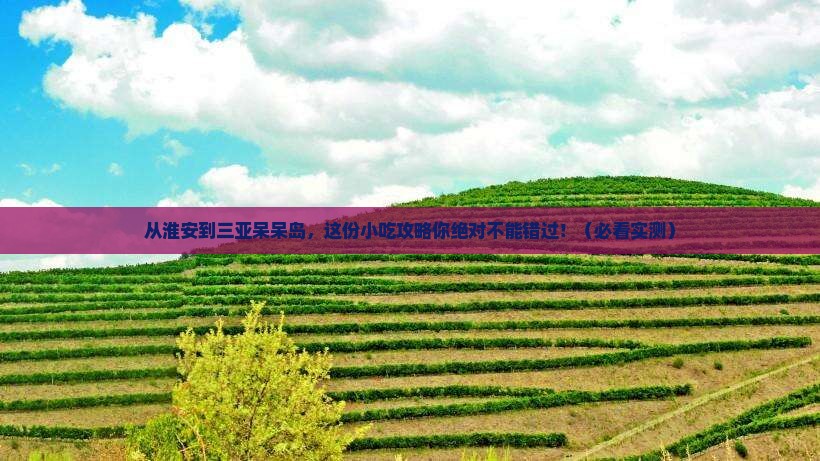 淮安前往三亚呆呆岛旅游小吃