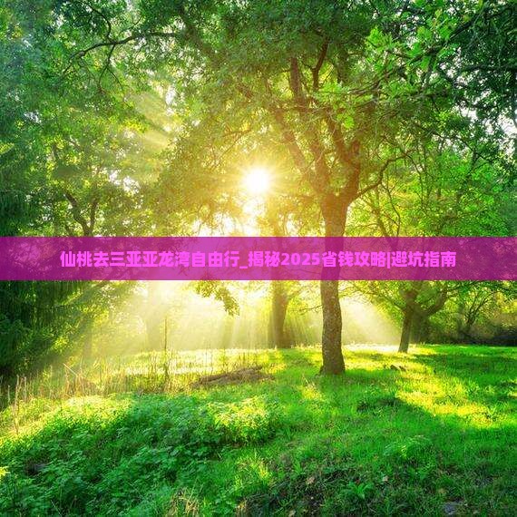 仙桃去三亚亚龙湾自由行