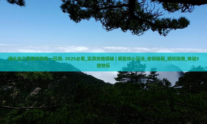 通化去三亚南湾猴岛一日游