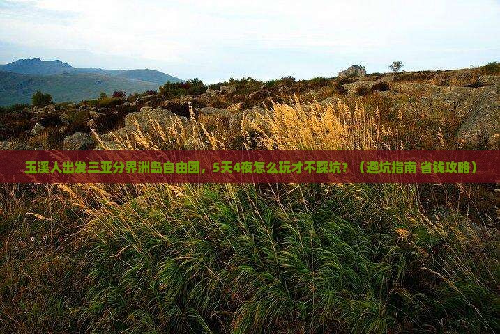玉溪出发三亚分界洲岛自由团