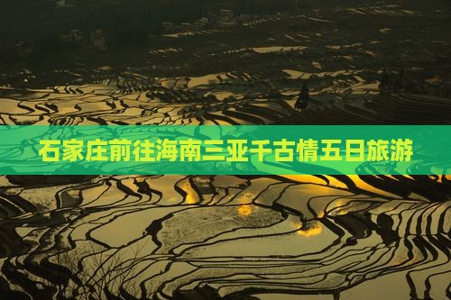 石家庄前往三亚千古情五日游