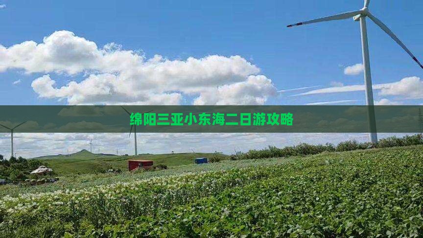 绵阳出发三亚小东海二日游