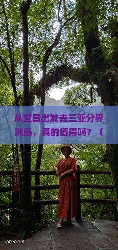 宜昌去三亚分界洲岛自由行