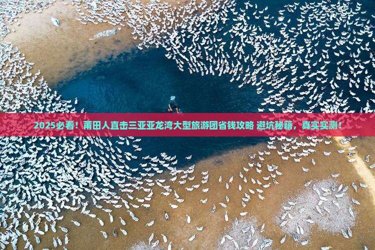 莆田去三亚亚龙湾大型旅游团