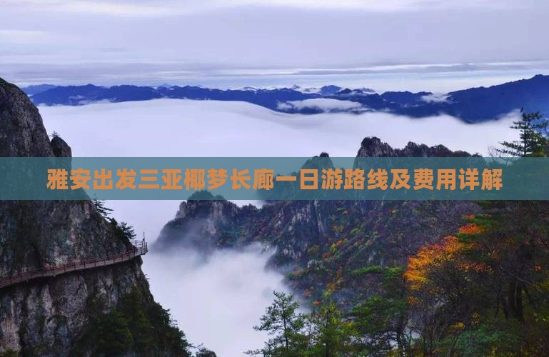雅安出发三亚椰梦长廊一日游