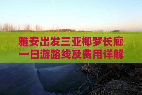 雅安出发三亚椰梦长廊一日游