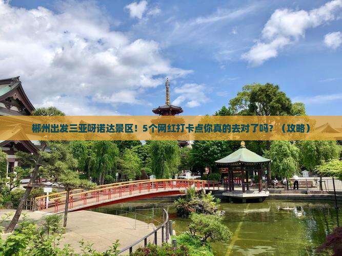 郴州出发三亚呀诺达景区旅游网红地点