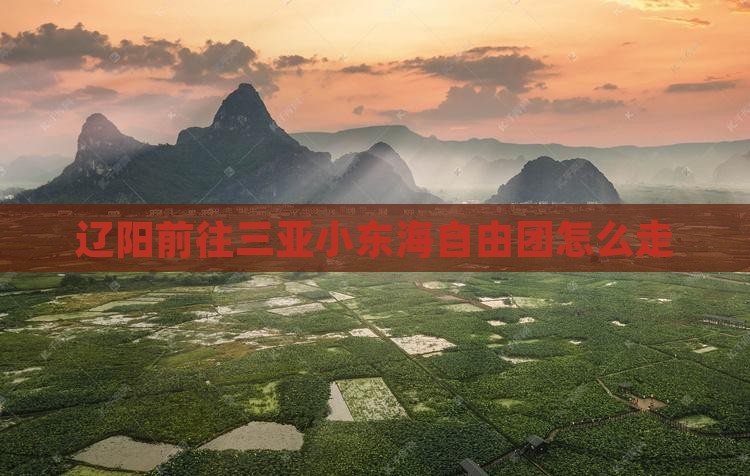 辽阳前往三亚小东海自由团
