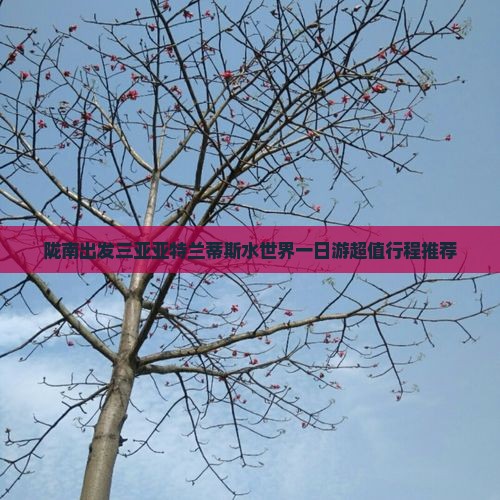 陇南出发三亚亚特兰蒂斯水世界一日游