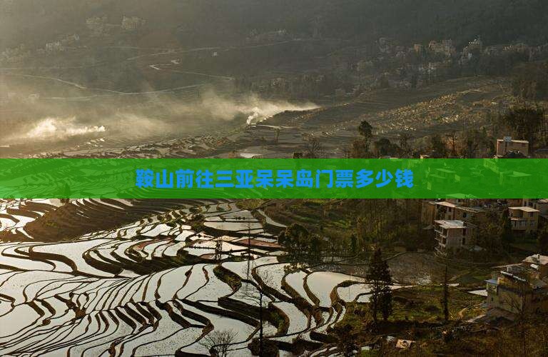 鞍山前往三亚呆呆岛门票