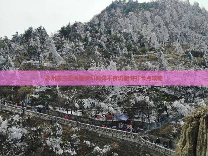 永州去三亚海昌梦幻海洋不夜城旅游打卡点