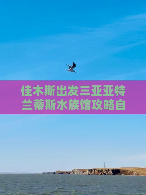 佳木斯去三亚亚特兰蒂斯水族馆自由团