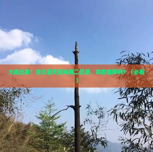 大连去三亚天涯海角二日游