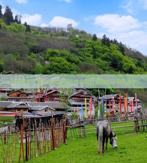 衡水出发三亚亚龙湾热带森林公园自由团