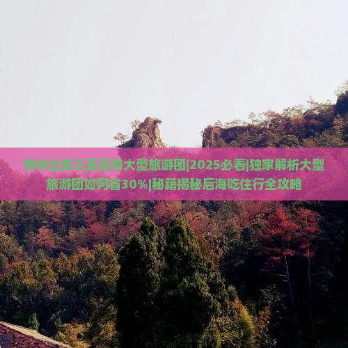 铁岭出发三亚后海大型旅游团