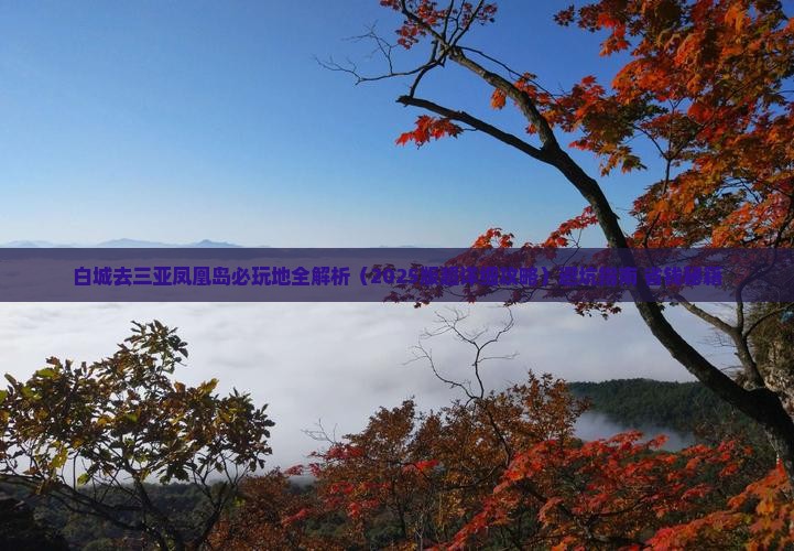 白城去三亚凤凰岛必玩地