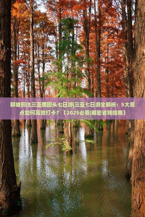聊城前往三亚鹿回头七日游