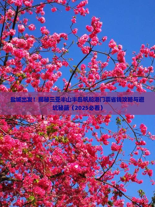 盐城去三亚半山半岛帆船港门票