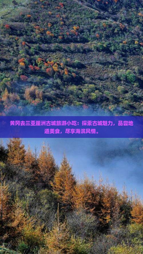 黄冈去三亚崖洲古城旅游小吃