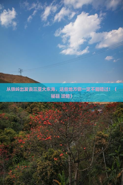 铁岭出发三亚大东海哪里玩