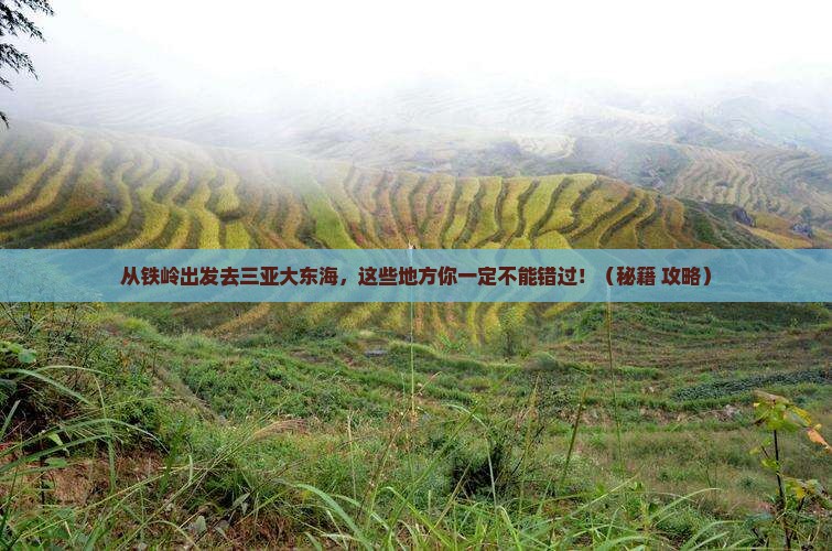 铁岭出发三亚大东海哪里玩