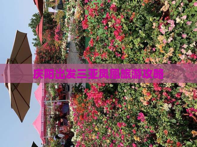 庆阳出发三亚凤凰岛个人游