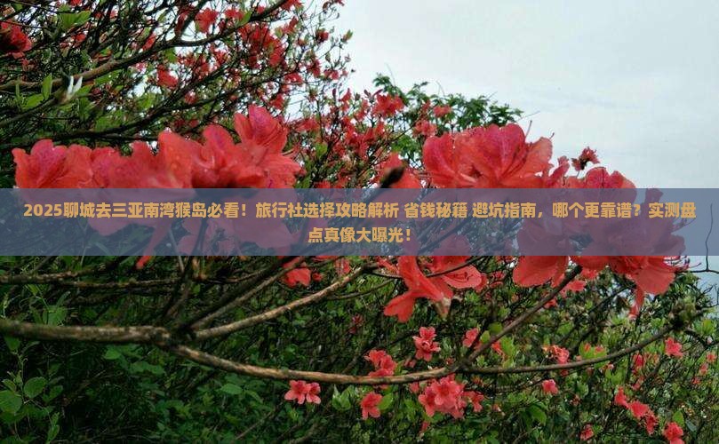 聊城去三亚南湾猴岛旅行社