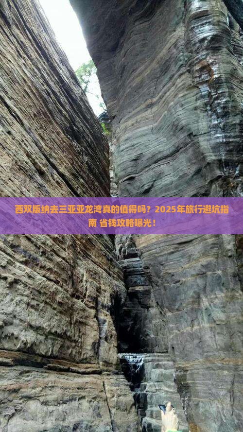 西双版纳去三亚亚龙湾旅行社