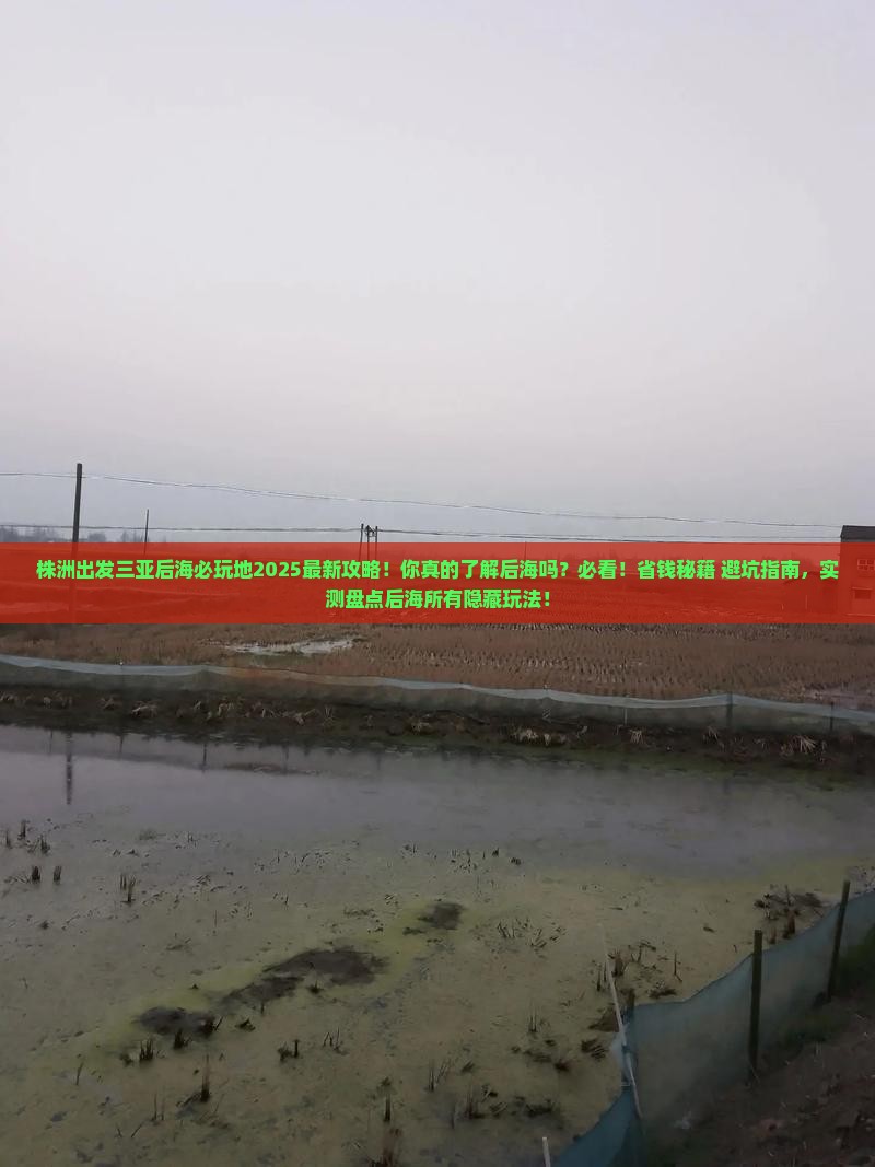 株洲出发三亚后海必玩地