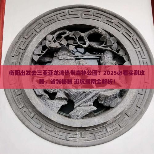 衡阳出发三亚亚龙湾热带森林公园哪里玩