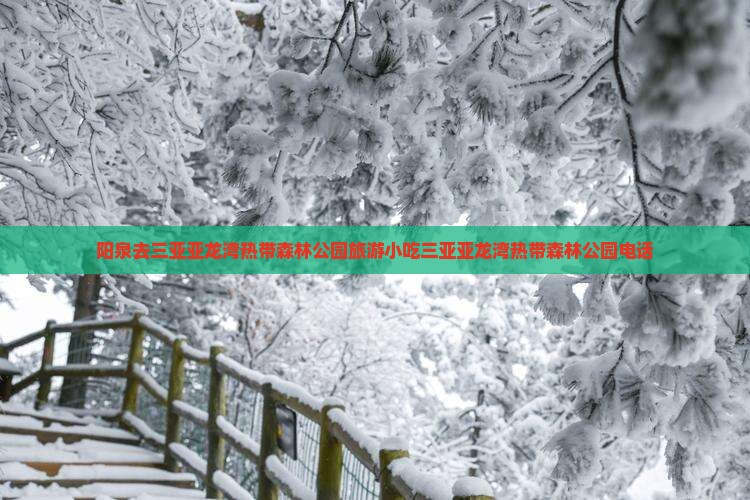阳泉去三亚亚龙湾热带森林公园旅游小吃