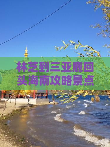 林芝去三亚鹿回头哪里玩